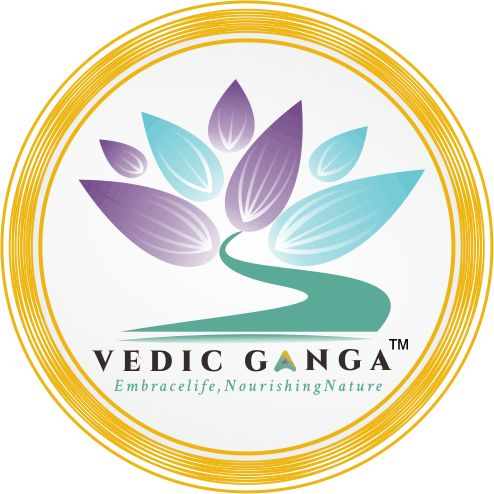 VedicGanga Logo
